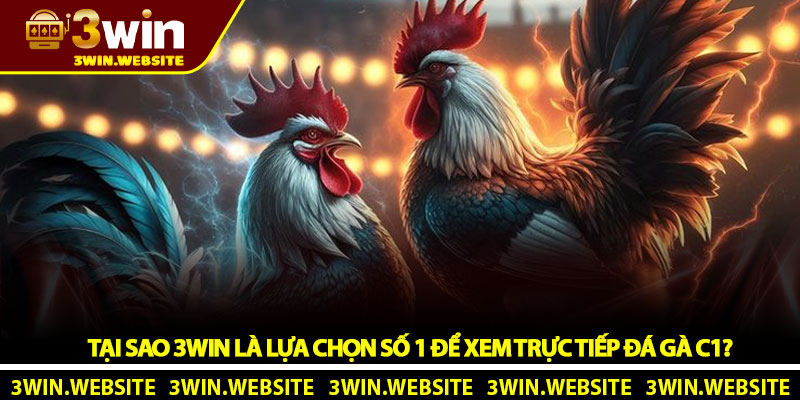 Tại Sao 3Win Là Lựa Chọn Số 1 Để Xem Trực Tiếp Đá Gà C1?